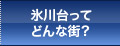 氷川台ってどんな街？